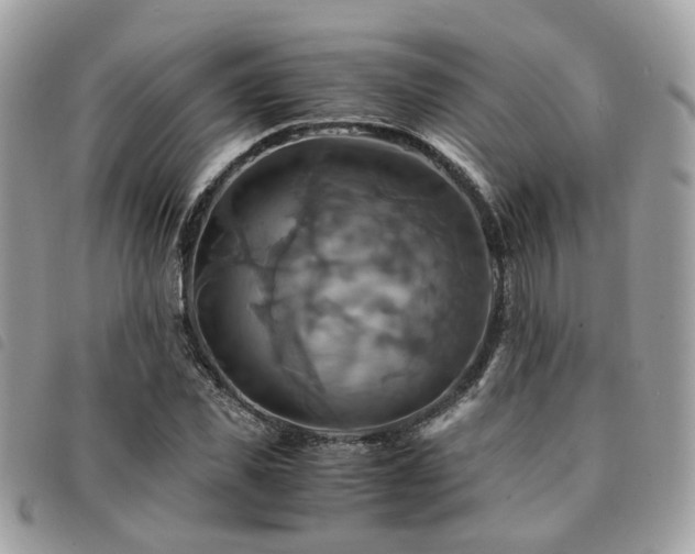 X0000091540925200708171240