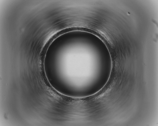 X0000091540926200708171240
