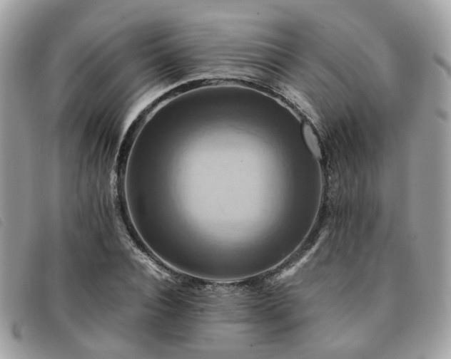 X0000091540928200708171240