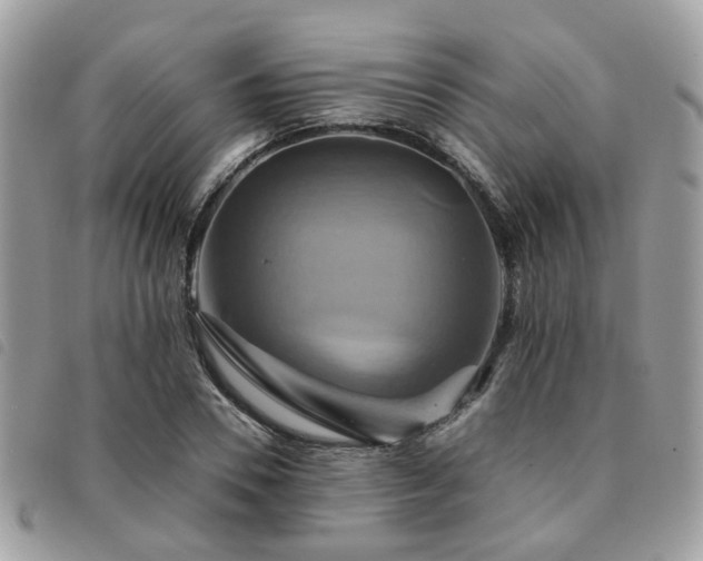 X0000091540930200708171240
