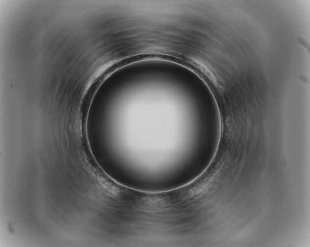 X0000091540931200708171240