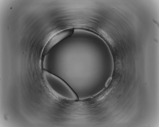X0000091540932200708171240
