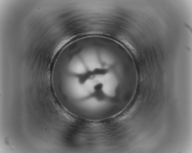 X0000091540933200708171240