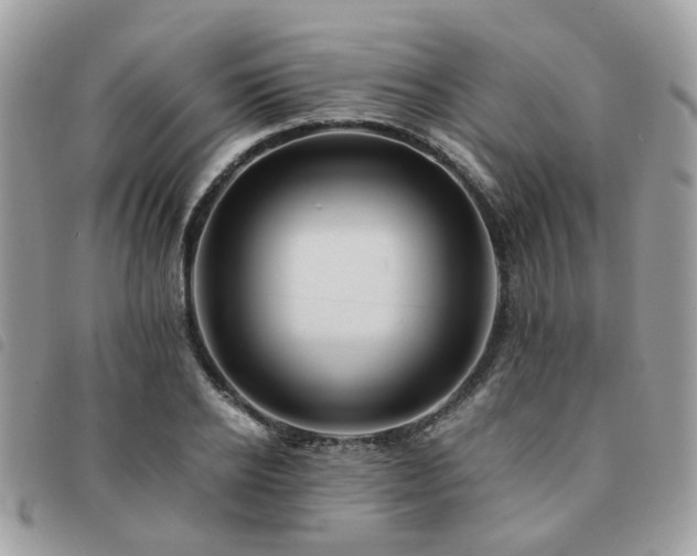X0000091540934200708171240