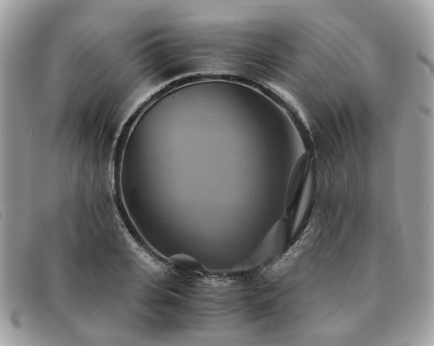 X0000091540935200708171240