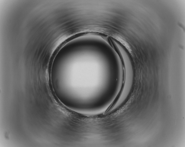 X0000091540936200708171240