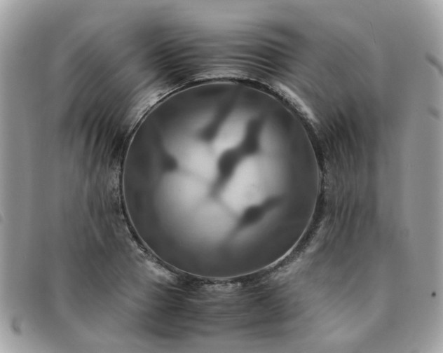 X0000091540937200708171240