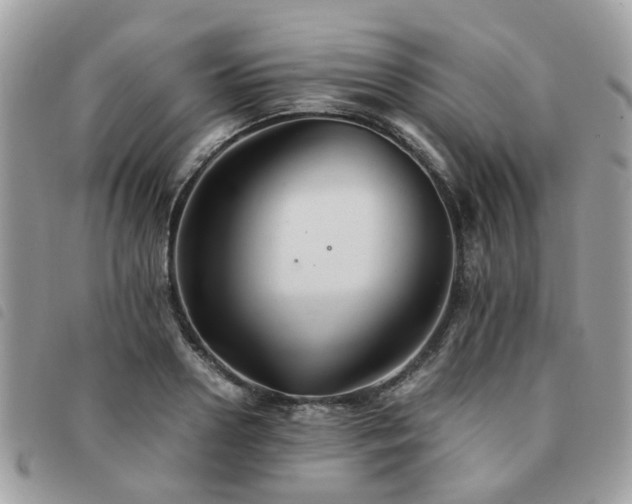 X0000091540938200708171241
