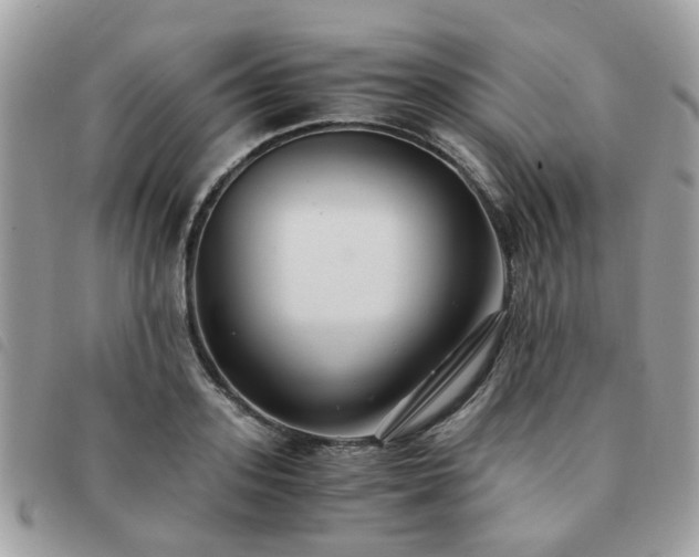 X0000091540939200708171241