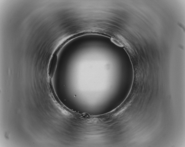 X0000091540940200708171241