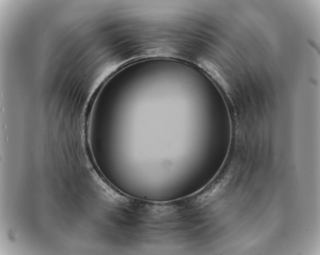 X0000091540941200708171241