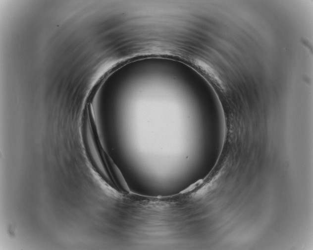 X0000091540942200708171241