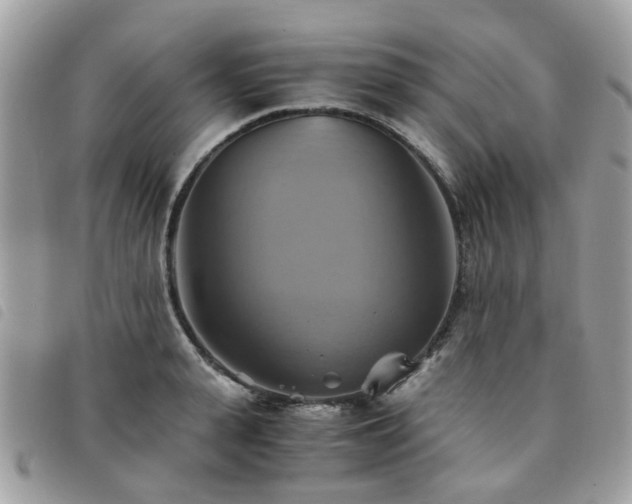 X0000091540943200708171241
