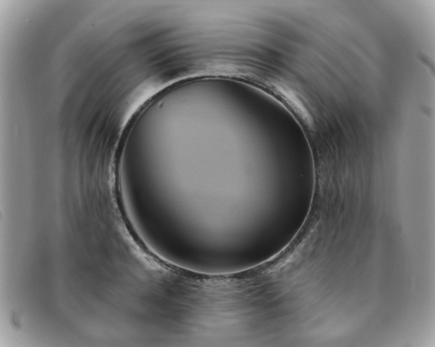 X0000091540944200708171241