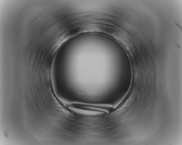 X0000091540945200708171241