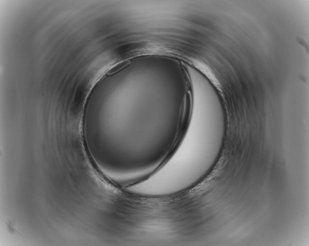 X0000091540946200708171241