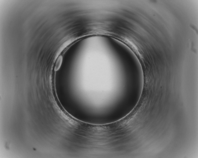 X0000091540947200708171241