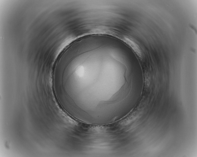 X0000091540950200708171241