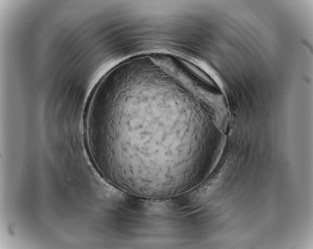 X0000091540951200708171241
