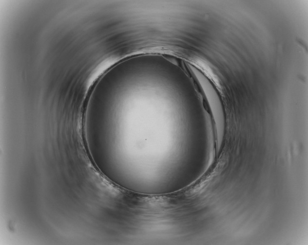 X0000091540952200708171241