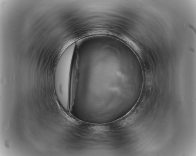 X0000091540953200708171241