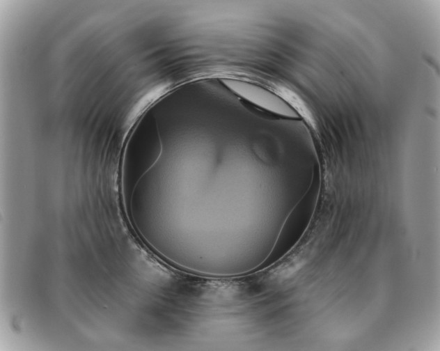 X0000091540954200708171241