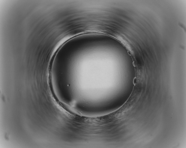 X0000091540955200708171241