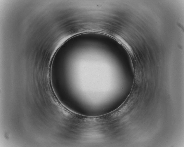 X0000091540956200708171241
