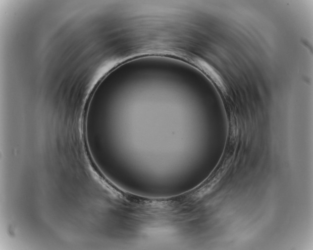 X0000091540958200708171241