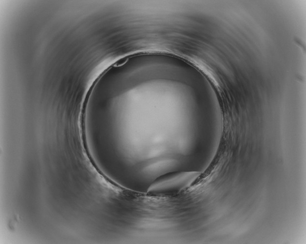 X0000091540959200708171241