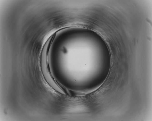 X0000091540960200708171241