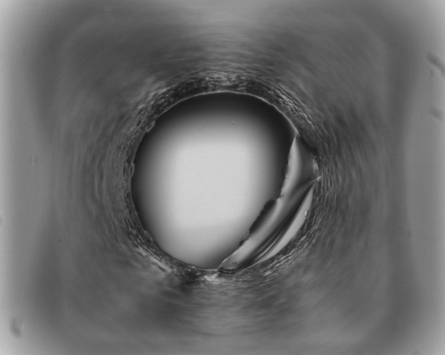 X0000091540961200708171240