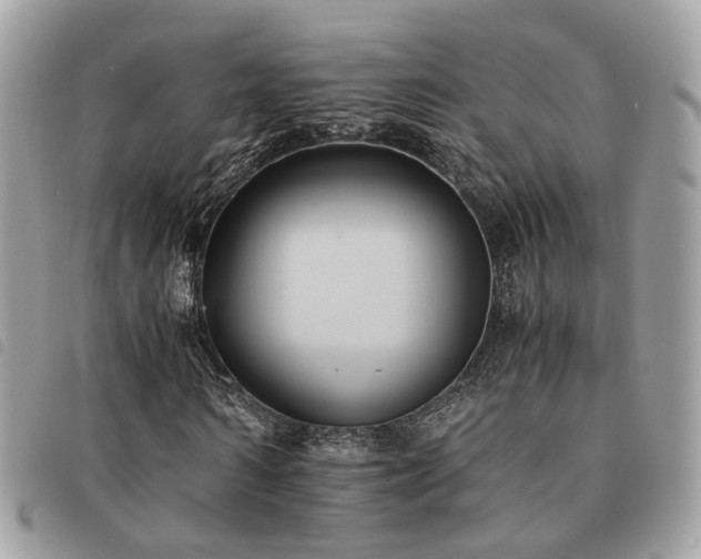 X0000091540962200708171240