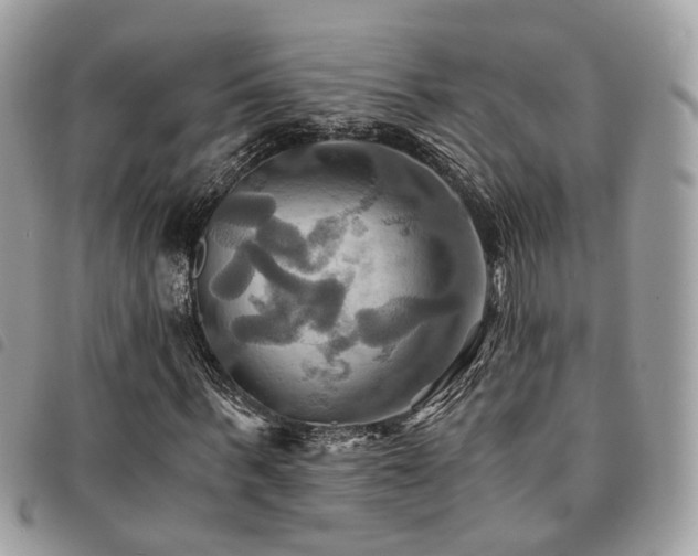 X0000091540963200708171240