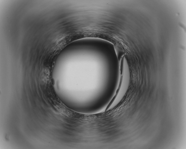 X0000091540964200708171240
