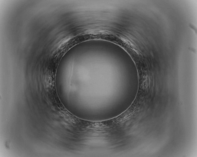 X0000091540966200708171240
