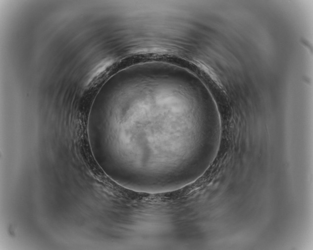 X0000091540967200708171240