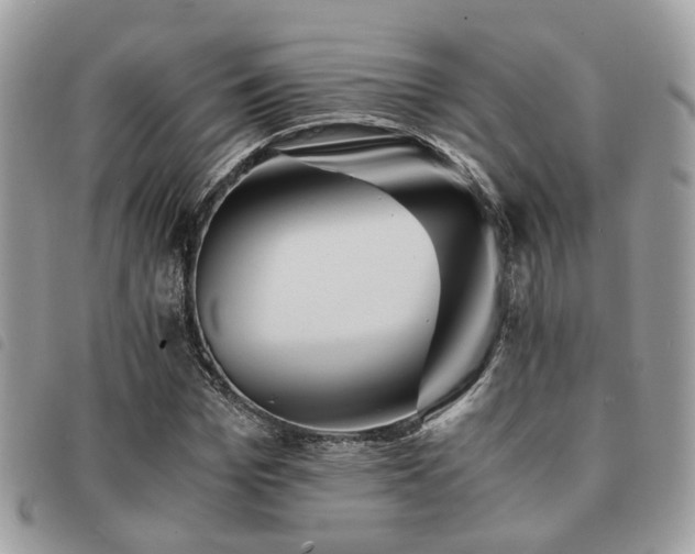 X0000091540969200708171240