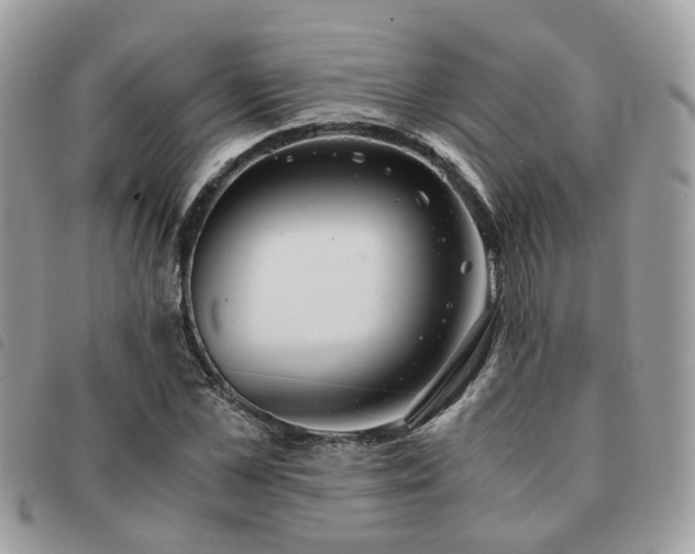 X0000091540973200708171240