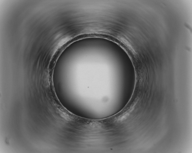 X0000091540974200708171240
