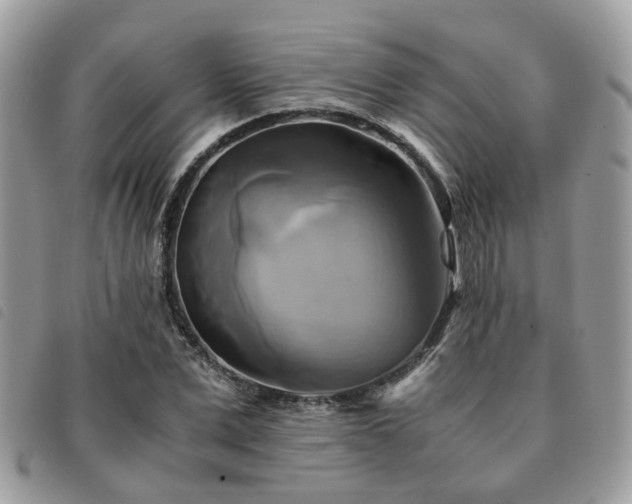 X0000091540975200708171240