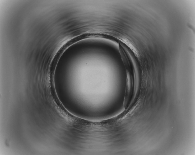 X0000091540976200708171240