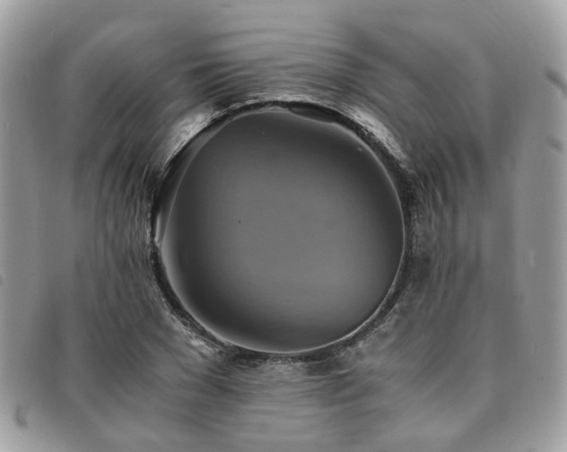 X0000091540977200708171240