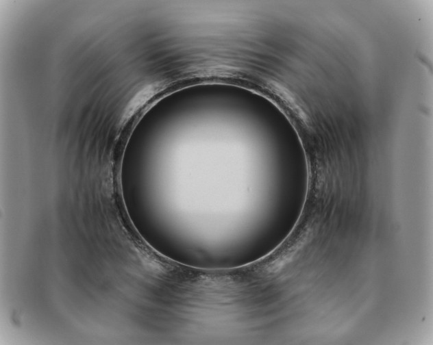 X0000091540978200708171240