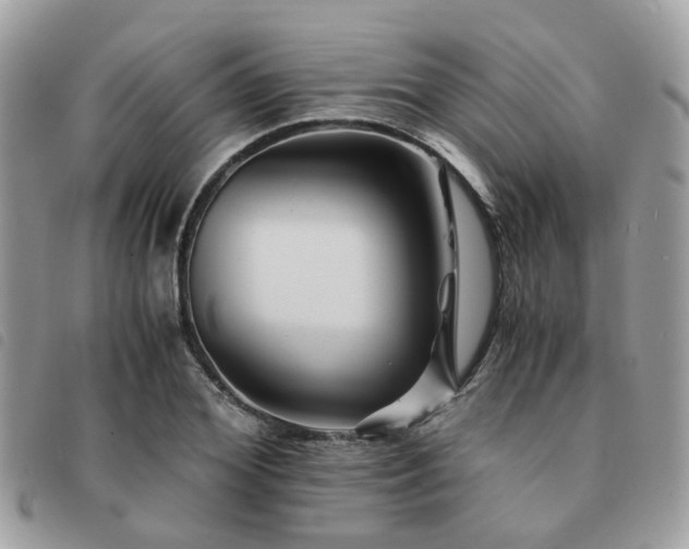 X0000091540980200708171240