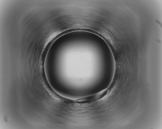 X0000091540981200708171240