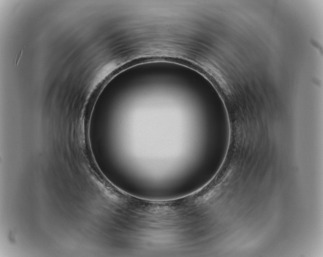 X0000091540982200708171240