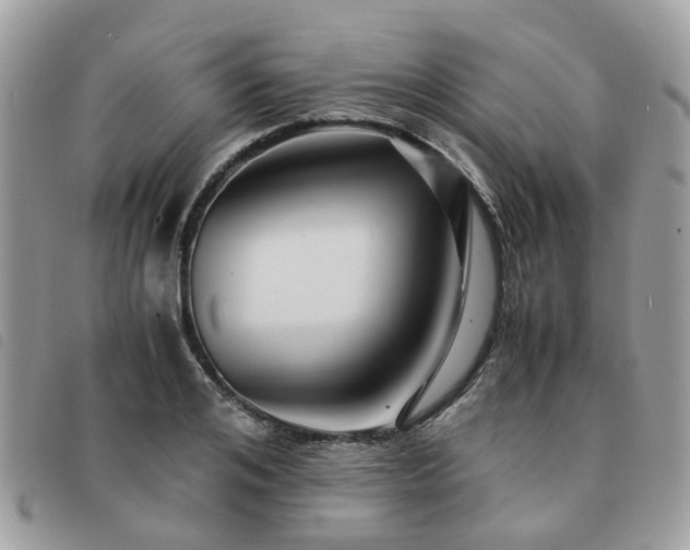 X0000091540984200708171240