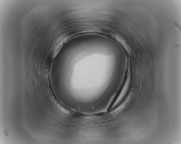 X0000091540985200708171240
