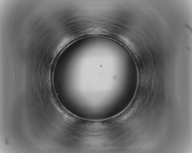X0000091540986200708171240